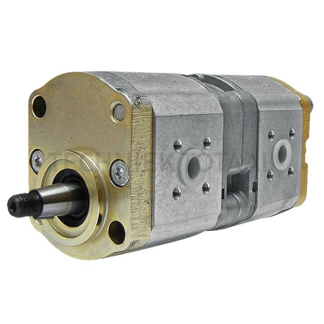 Bosch/Rexroth Dubbele pomp 11 + 8 cm³, conus 1:5, Ø 17 x 17, links Deutz-Fahr | 01178247, 0510560302, R918C01202