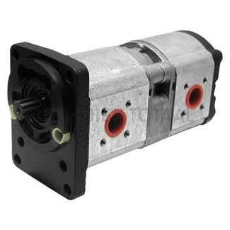 Bosch/Rexroth Double pump 19 + 11 cm³, B 17 x 14, 9 splines, left Fendt, Renault