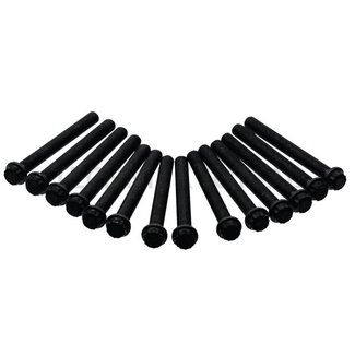 Elring Set cilinderkopbouten M16 x 2 x 149 motor OM 906 - 14 stuks