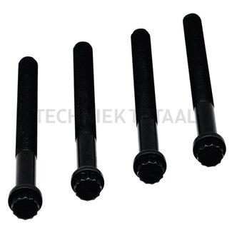 Elring Set cilinderkopbouten M18 x 2 x 210, sleutelmaat 19, OM 502 - 4 stuks