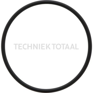 GRANIT Dichtung Filterverschraubung