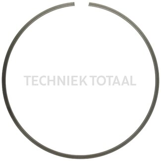 ZF Borgring powershift-groep Ø 131,5 mm, 2,5 mm Fendt Favorit 816 - 824
