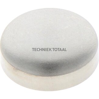 Isuzu Engine cylinder head sealing cap
