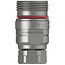 Cejn Schraubkupplung TLX 807 Muffe 1 1/4" BSPT, DN 32, 420 bar | 10 807 1104