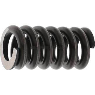 CTP Spring Caterpillar