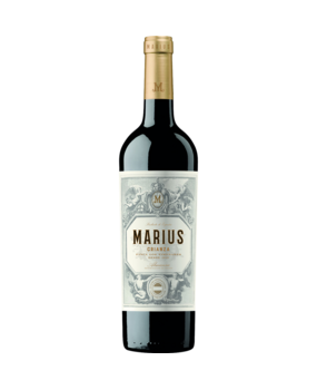 Bodegas Piqueras Marius Crianza Almansa 2022