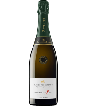 Raventos i Blanc Textures de Pedra Brut Nature 2021