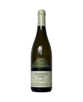 De Wijngaardsberg Auxerrois 2023