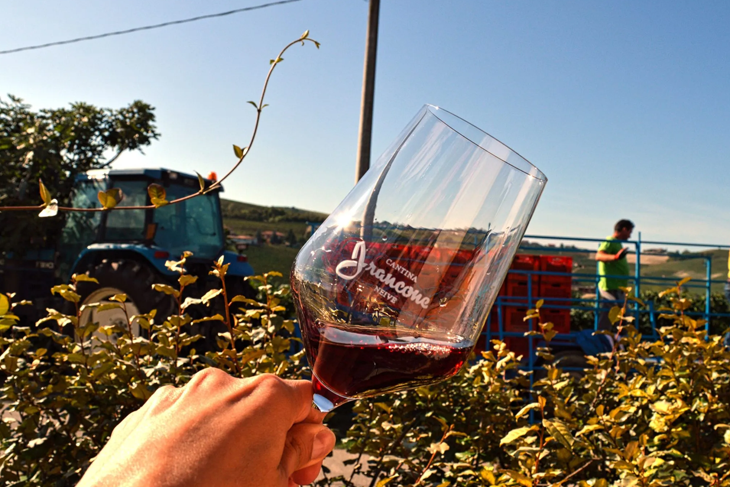 wine tasting
wine tasting events
wijn tasting
wijntasting