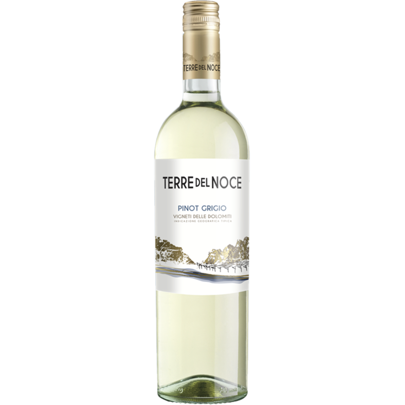 Terre del Noce Terre del Noce Pinot Grigio 2025