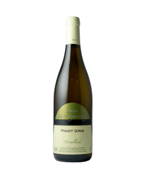 De Wijngaardsberg Pinot Gris 2023