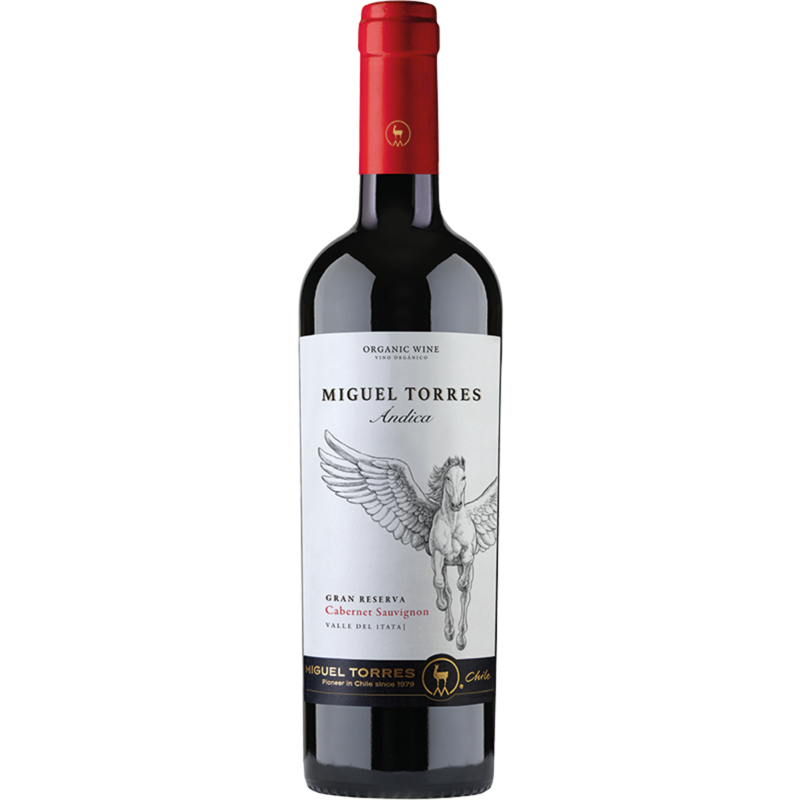 Miguel Torres Miguel Torres Cabernet Sauvignon Gran Reserva Andica 2021