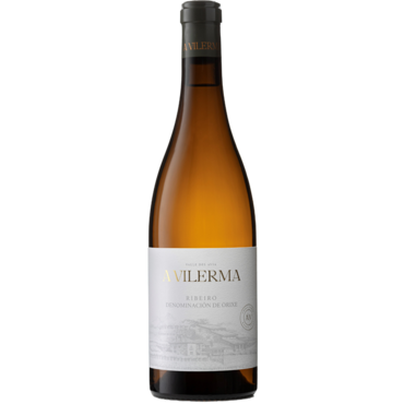 José Pariente A Vilerma Ribeiro 2024