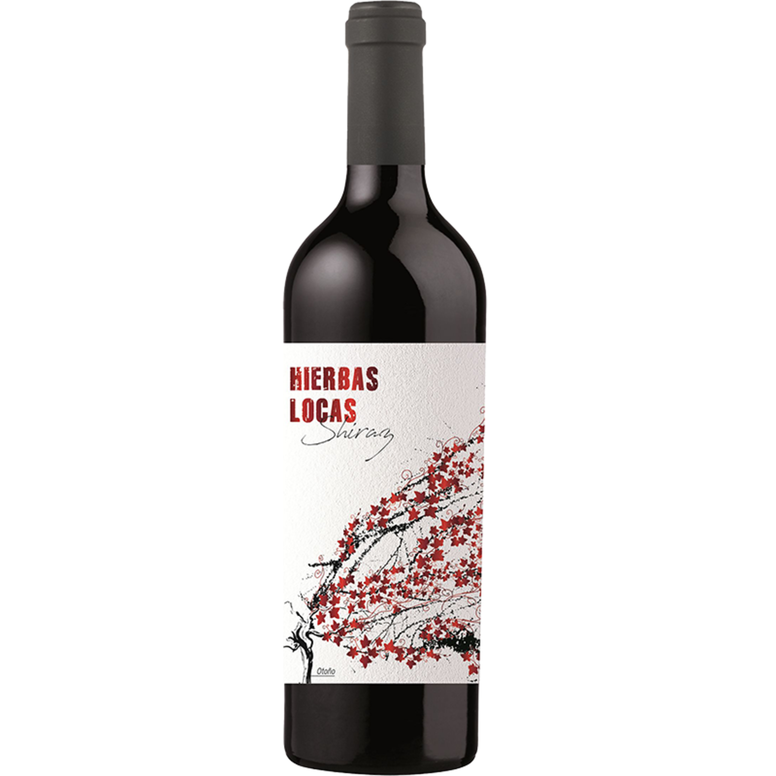 Hierbas Locas Hierbas Locas Syrah 2024