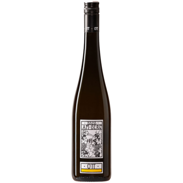 Bernhard Ott Grüner Veltliner Am Berg 2025