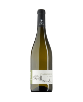 Domaine de Castelnau Sauvignon Blanc Le Bosquet 2024