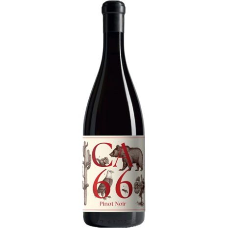 Weingut Hannes Sabathi Weingut Hannes Sabathi CA 66 Pinot Noir 2025 Weingut Hannes Sabathi Weingut Hannes Sabathi CA 66 Pinot Noir 2025