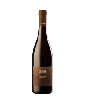 Cembra Cantina di Montagna Pinot Nero Trentino 2024 Cembra Cantina di Montagna Pinot Nero Trentino 2024