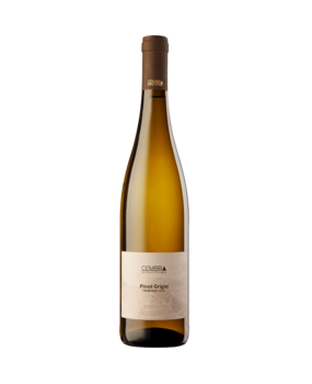 Cembra Cantina di Montagna Pinot Grigio Trentino 2024 Cembra Cantina di Montagna Pinot Grigio Trentino 2024