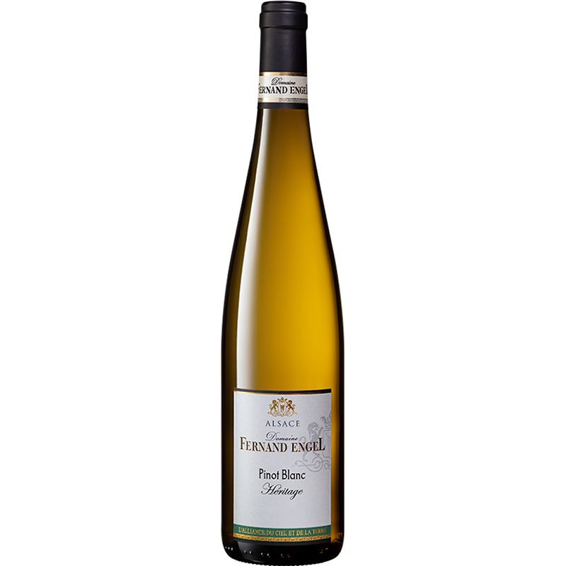 Fernand Engel Pinot Blanc Réserve 2024