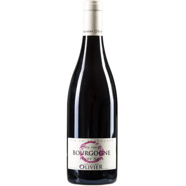 Antoine Olivier Coté Rouge Bourgogne Pinot Noir 2022