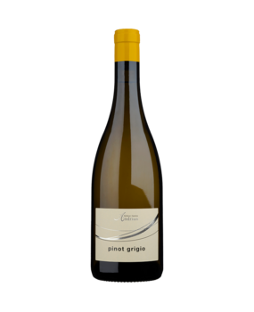 Cantina Andrian Pinot Grigio 2025 Cantina Andrian Pinot Grigio 2025