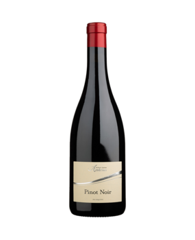 Cantina Andrian Pinot Noir Alto Adige 2024 Cantina Andrian Pinot Noir Alto Adige 2024