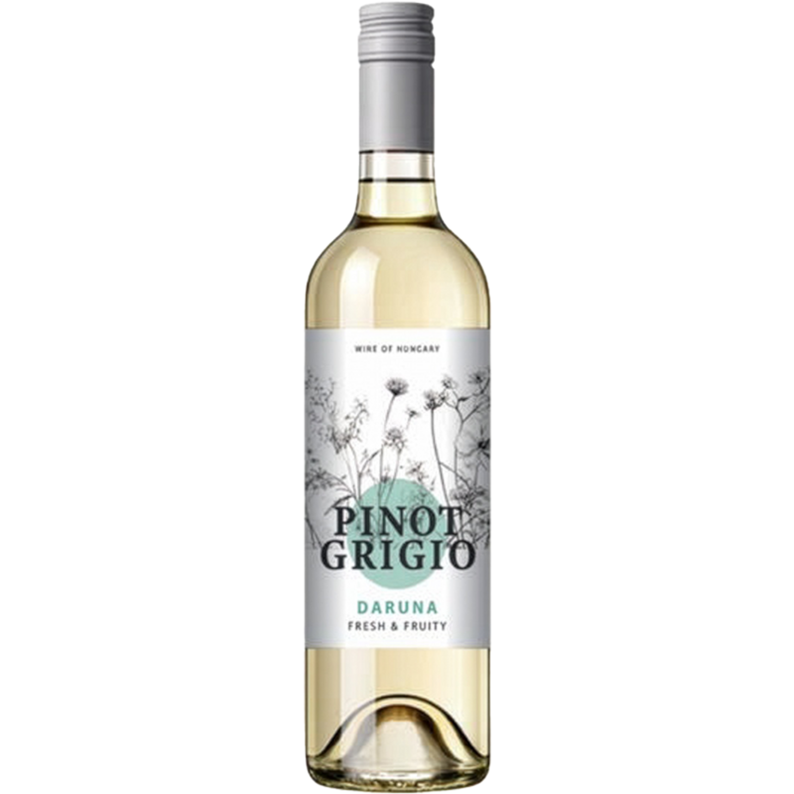Daruna Daruna Pinot Grigio 2025
