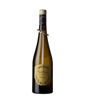 Italo Cescon Pinot Grigio Il Tralcetto 2025