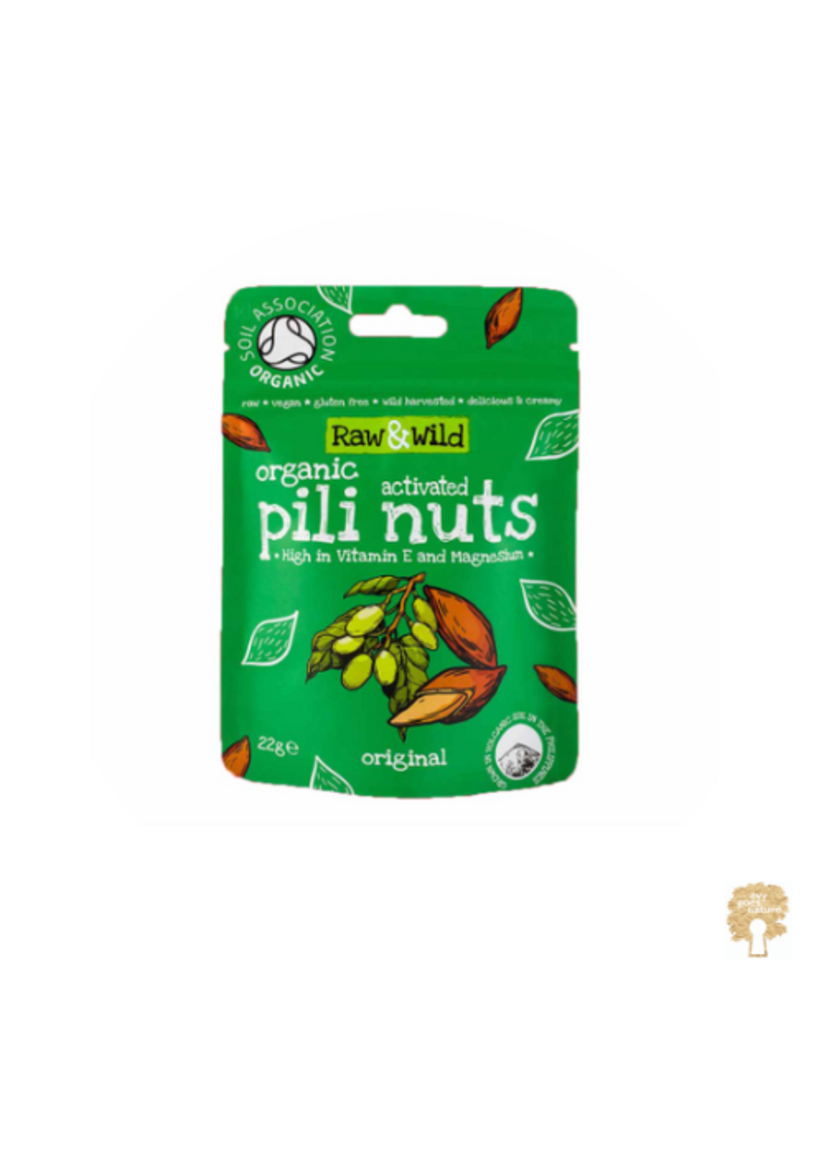 Raw&Wild Pili nuts orgineel klein