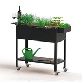 Lenkrollen mit Stop-Funktion - 4 Stück