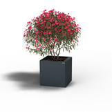 Pflanzkübel-Metall Anthrazit 30x30x28 (RAL 7016)