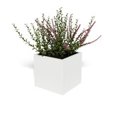 Pflanzkübel-Metall Weiß 60x60x57 (RAL 9016)