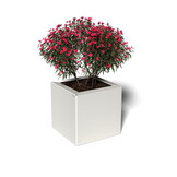 Pflanzkübel-Metall Weiß 30x30x28 (RAL 9016)