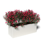 Pflanzkübel-Metall Weiß 30x80x28 (RAL 9016)