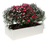 Pflanzkübel-Metall Weiß 60x110x28 (RAL 9016)