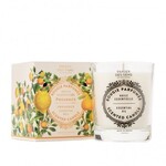 Panier des Sens Scendet Candle - Soothing Provence