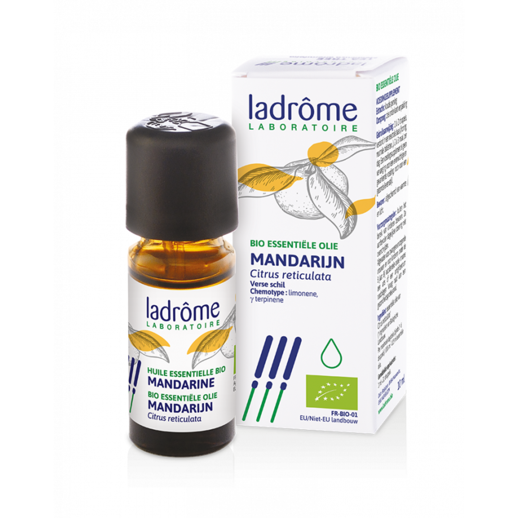 Ladrôme Citrus reticulata - Mandarijn