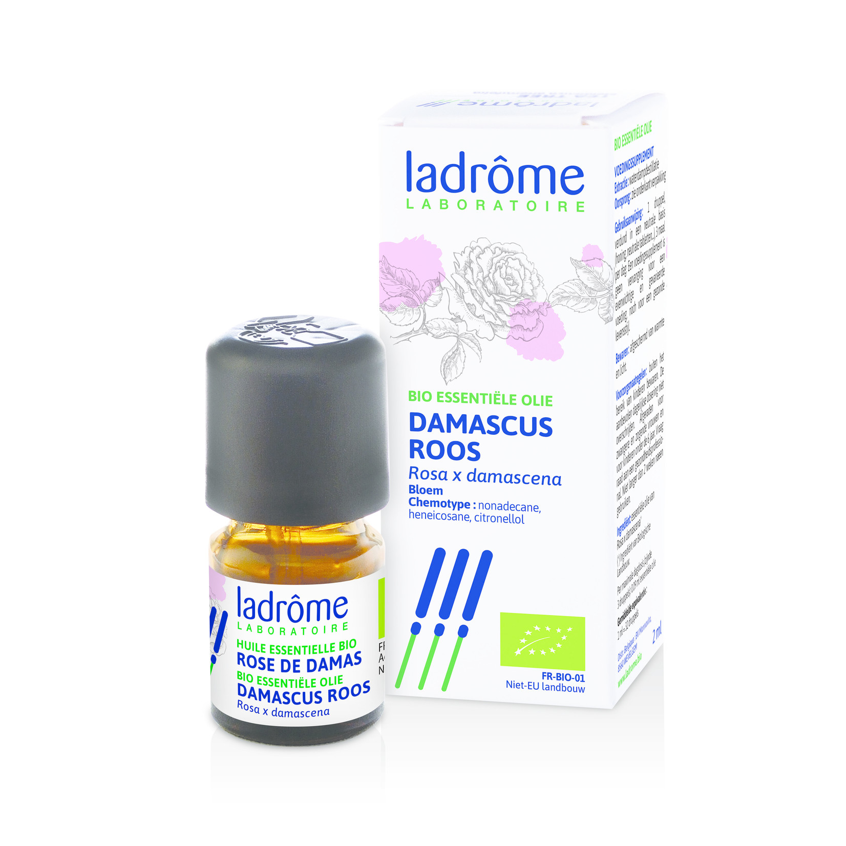 Ladrôme Damascus roos