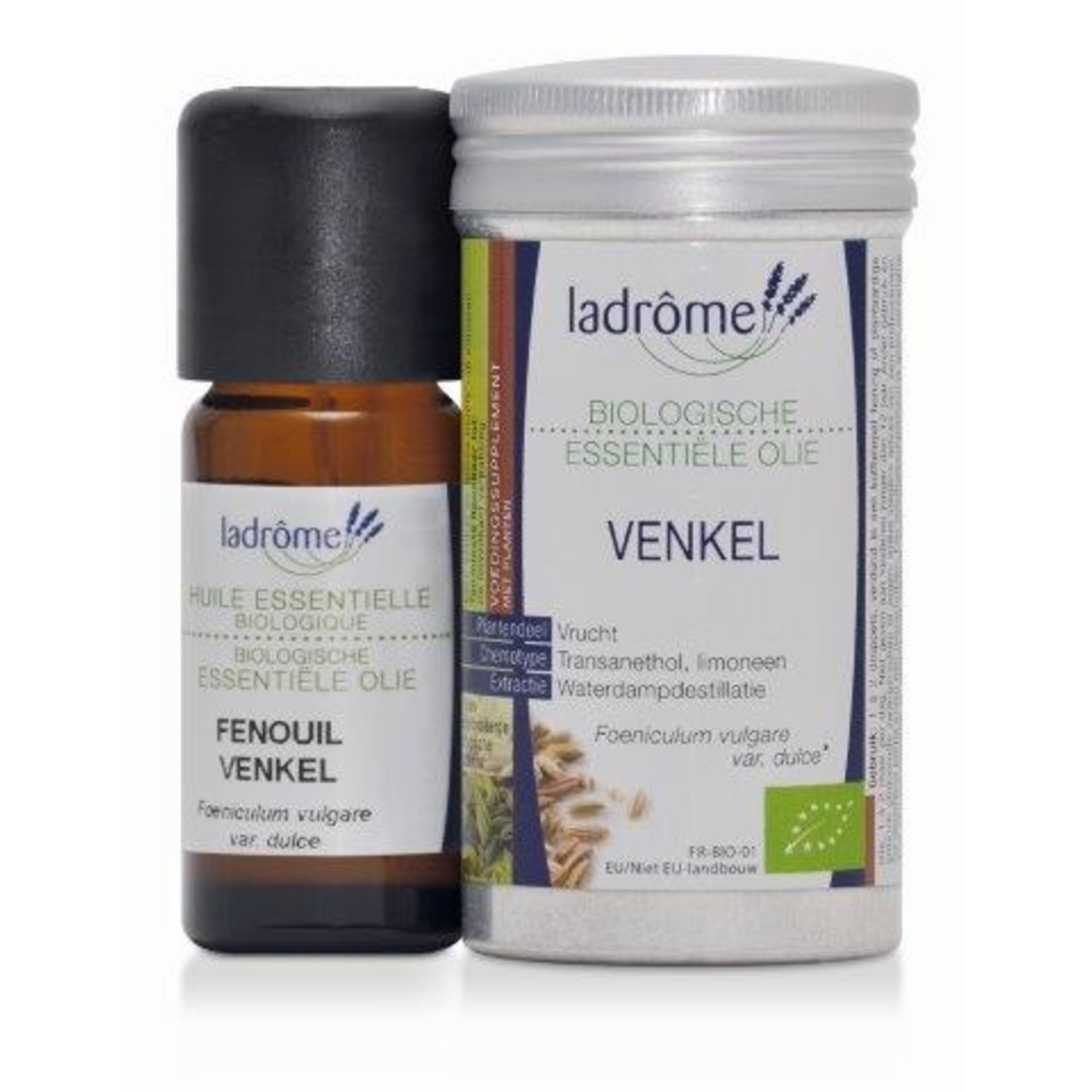 Ladrôme Foeniculum vulgare var. Dulce - Venkel