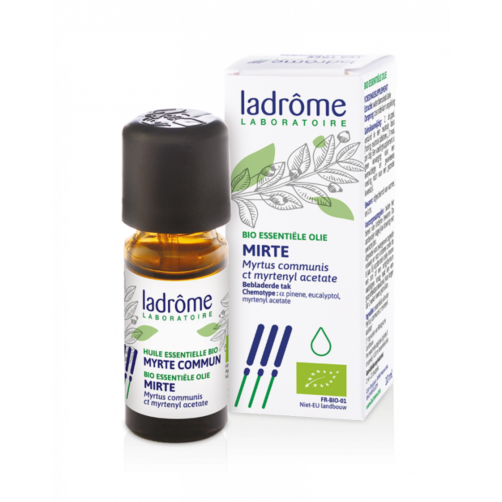 Ladrôme Myrtus communis - Myrte