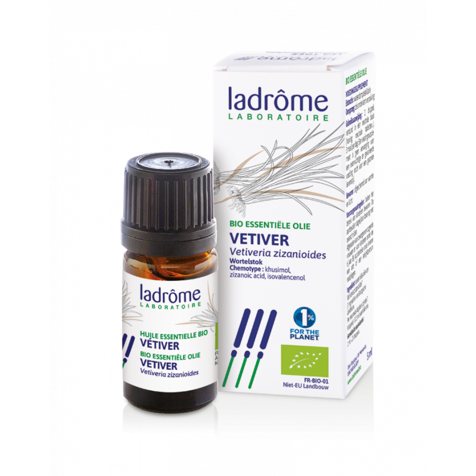 Ladrôme Vetiver - Vetiveria zizanoïdes