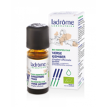 Ladrôme Zingiber officinalis - Gember 10ml