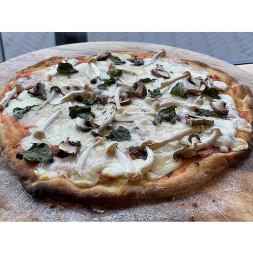 DLG Pizza Funghi