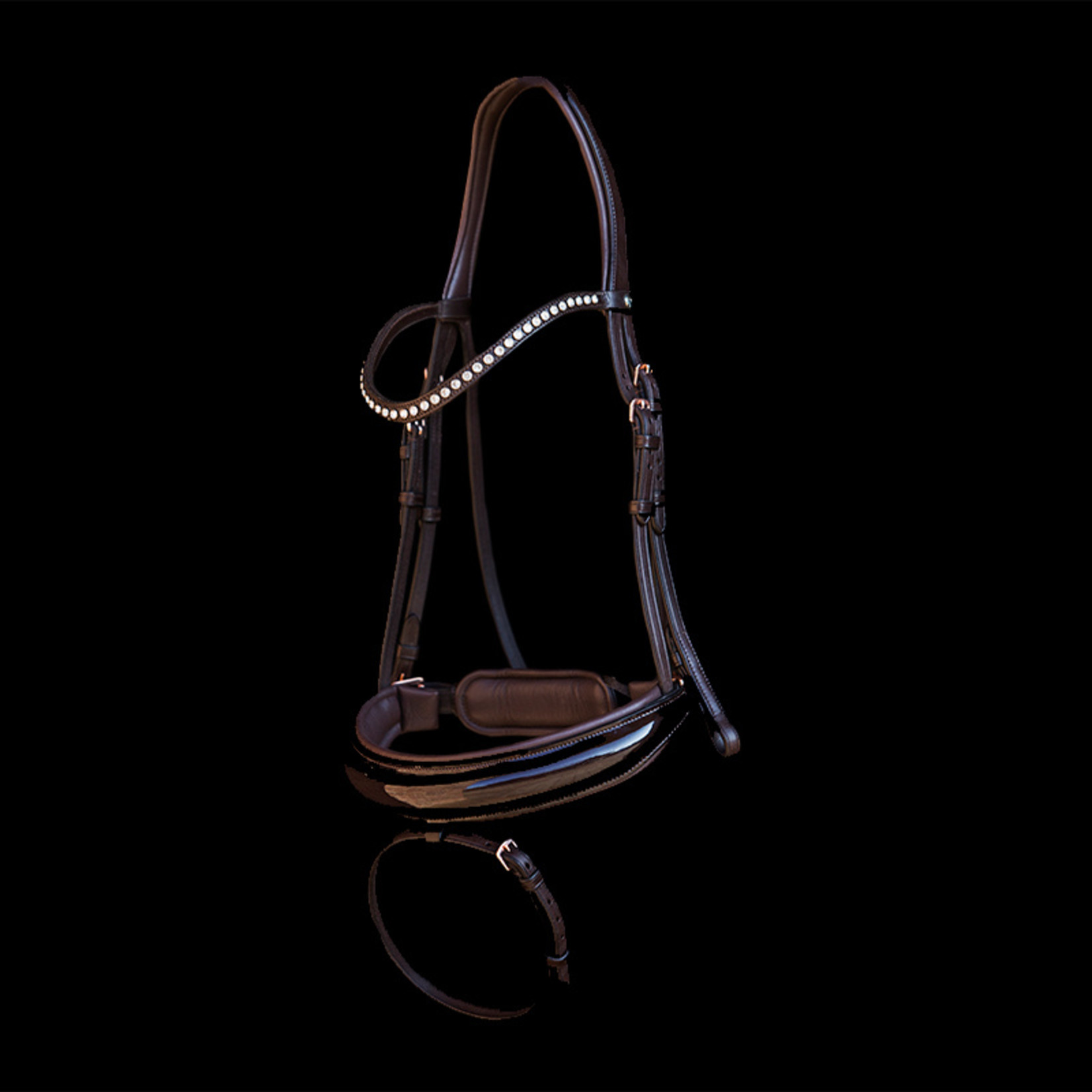 2FitHorses 2Fit-Box Single Bridle