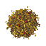 Geels Koffie & Thee 5713 - Hot Shot thee 1 kg