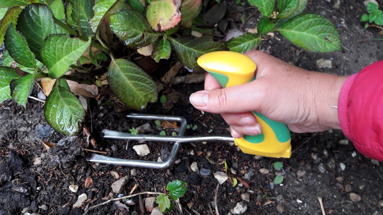 Tuingereedschap met pistoolgrip-handvat