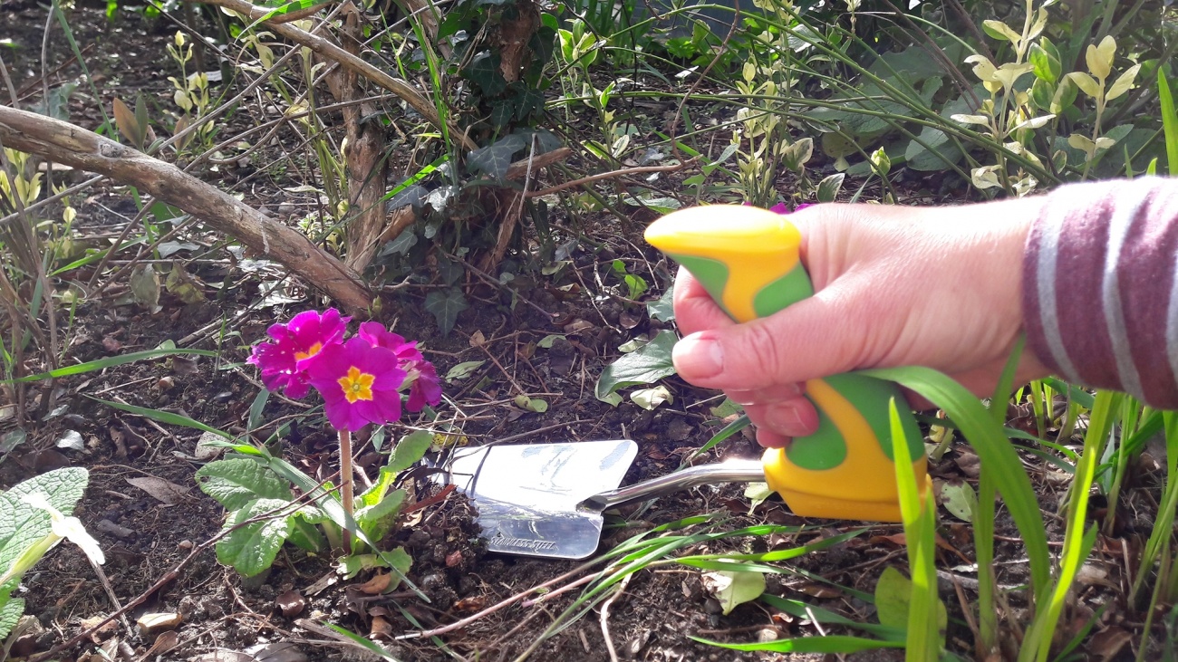 Tuingereedschap met pistoolgrip-handvat