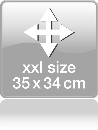 Beurer GS39 - Personenweegschaal - Sprekend - 150kg - Zwart