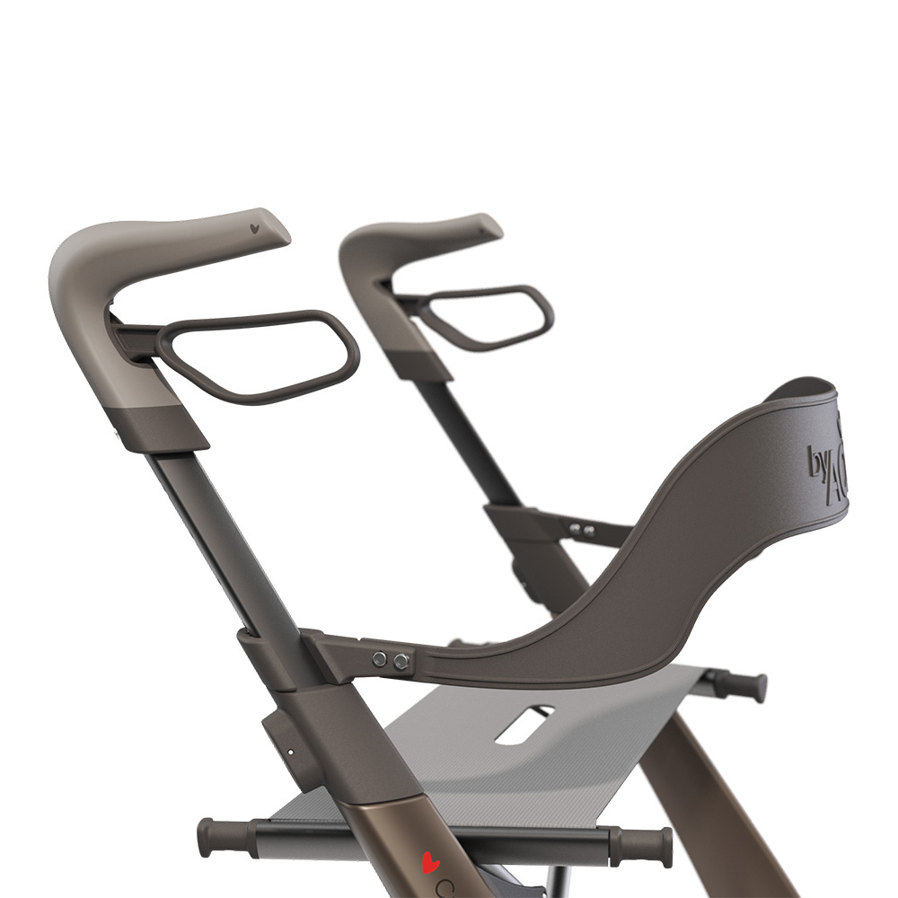 Rugleuning voor Carbon Overland